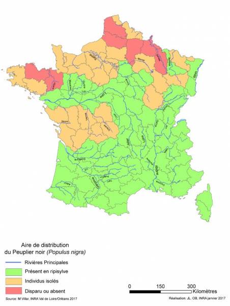 Aire-repartition-P-Nigra